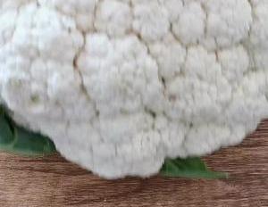 爱吃花菜的要收藏,普通的花菜也能做成大餐,比饭店做的还好吃