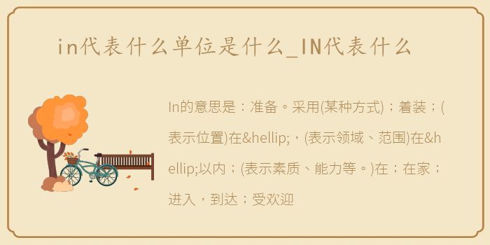 in代表什么单位是什么_IN代表什么