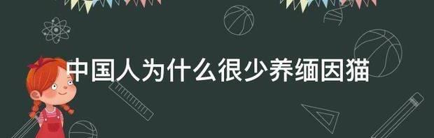 一室一厅能养缅因猫吗？ 缅因猫为什么不能养