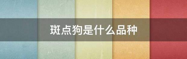 斑点狗叫什么？ 斑点狗