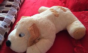 闲鱼小狗是什么意思？（哪个平台可以出售狗狗）