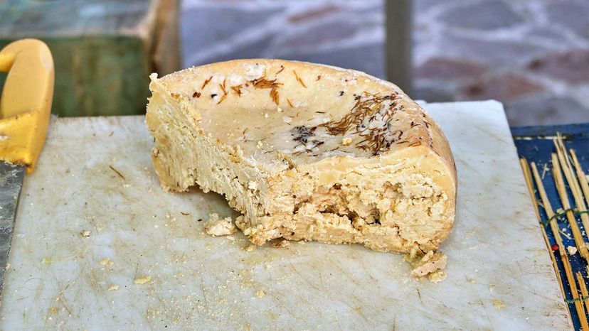 你会吃Casu Marzu，非法奶酪配蛆吗？