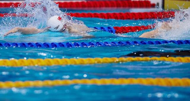 潘展乐个人简历（潘展乐）