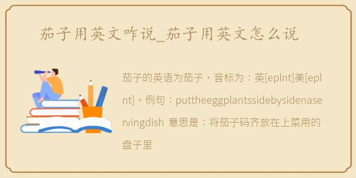 茄子用英文咋说_茄子用英文怎么说