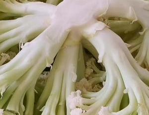 花菜别用清水直接洗,洗不干净虫卵,教你正确方法,脏东西全跑光