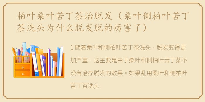 柏叶桑叶苦丁茶治脱发（桑叶侧柏叶苦丁茶洗头为什么脱发脱的厉害了）