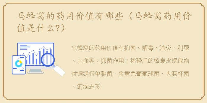 马蜂窝的药用价值有哪些（马蜂窝药用价值是什么?）