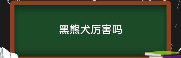 黑熊犬的来历？ 黑熊犬