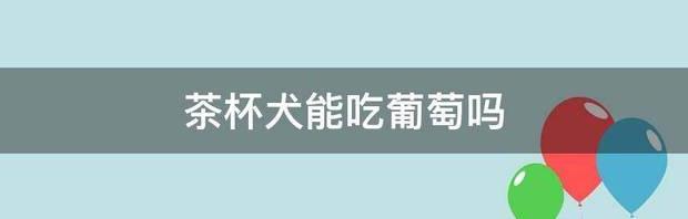 茶杯犬好吗？（茶杯犬死亡的样子）
