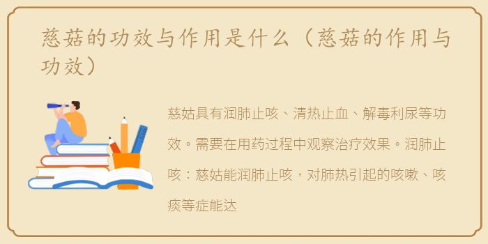 慈菇的功效与作用是什么（慈菇的作用与功效）