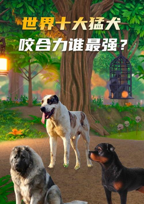 工具犬排名？ 猛犬排名