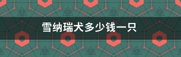 雪纳瑞犬多少钱一只（雪纳瑞一般多少钱一只）