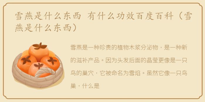 雪燕是什么东西 有什么功效百度百科（雪燕是什么东西）