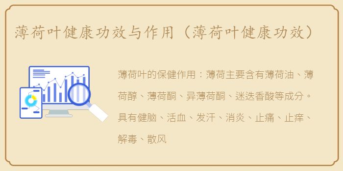 薄荷叶健康功效与作用（薄荷叶健康功效）