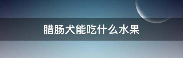 成年腊肠犬有多大？（腊肠狗）