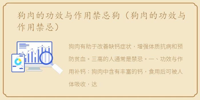狗肉的功效与作用禁忌狗（狗肉的功效与作用禁忌）