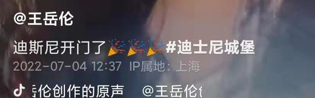 李湘为什么喜欢王岳伦,王岳伦晒女儿迪士尼游玩照