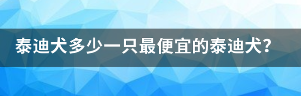 什么地方有便宜的泰迪狗狗卖？（泰迪狗最便宜多少钱一只）