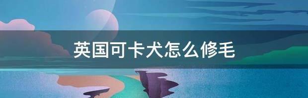 可卡是什么意思？（英国可卡犬）