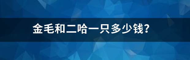 二哈大概多少钱一只？（二哈多少钱一只）