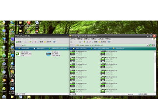 ios系统怎么样能运行exe文件？（iso文件如何打开）