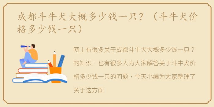 成都斗牛犬大概多少钱一只？（斗牛犬价格多少钱一只）