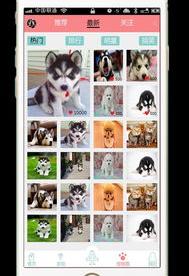 狗扑是什么app？（最火的宠物交易app）