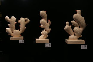 502badgateway（电脑502报错怎么回事？）