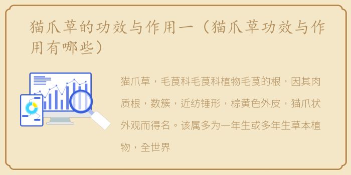 猫爪草的功效与作用一（猫爪草功效与作用有哪些）