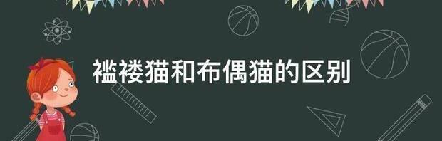 进口猫品种？ 褴褛猫多少钱一只