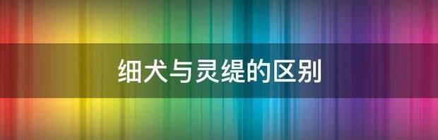 细犬的祖先是什么动物？ 中国细犬和灵缇的区别