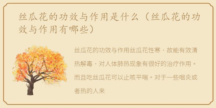 丝瓜花的功效与作用是什么（丝瓜花的功效与作用有哪些）
