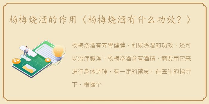 杨梅烧酒的作用（杨梅烧酒有什么功效？）