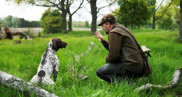 牧羊犬训练方法和技巧（训练狗的方法和技巧）
