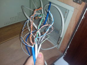 几根网线可以接一起吗？（网线能接吗）