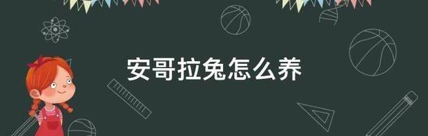安哥拉兔智商有多高？（安哥拉兔）
