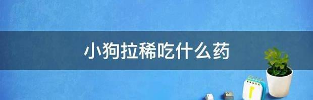 狗狗拉肚子吃土霉素能好吗？ 狗狗拉稀吃什么药最好