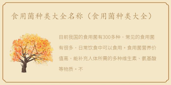 食用菌种类大全名称（食用菌种类大全）