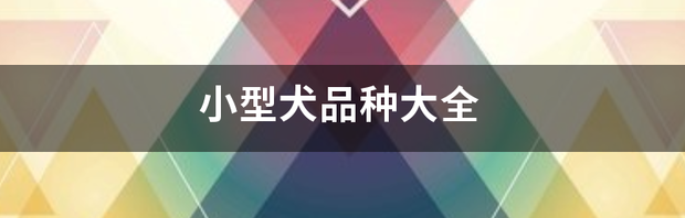 世界公认顶级护卫犬小型犬？（小型犬品种大全 排名）