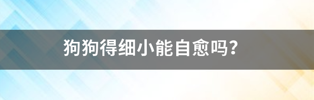 细小病毒能自己好吗？ 细小病毒狗狗能自愈吗