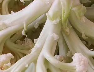 花菜别炒着吃了,加3个鸡蛋,不炒不炸不凉拌,出锅比吃肉还香