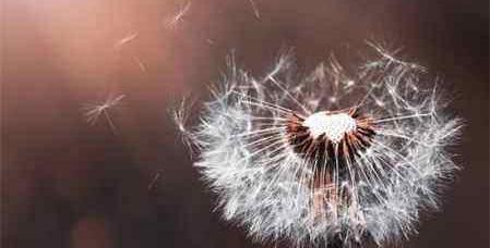 怎样才能离婚而不伤害到宝宝。（最不伤害孩子的离婚方式）