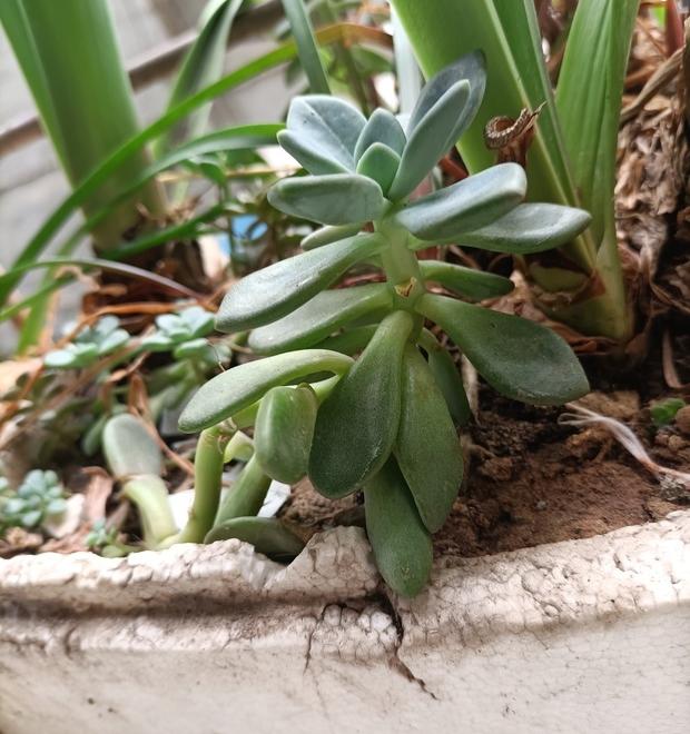 在网上怎么查户口？（全国户口户籍查询系统）