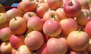 核桃生命之源是什么意思？（苹果核源）