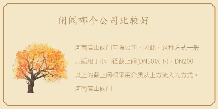 闸阀哪个公司比较好