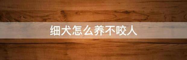 为什么不建议养细犬？（细犬为什么被禁养）