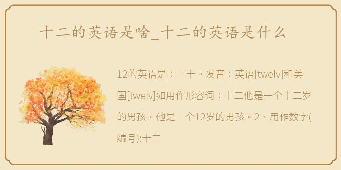 十二的英语是啥_十二的英语是什么