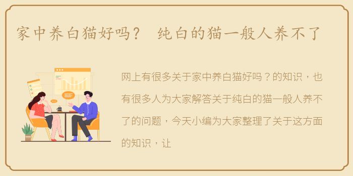 家中养白猫好吗？ 纯白的猫一般人养不了