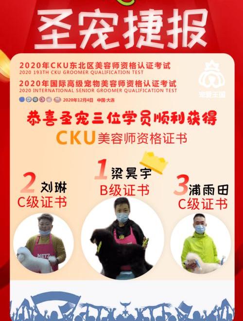 宠物c级证书考试内容？（宠物美容师c级证怎么考）