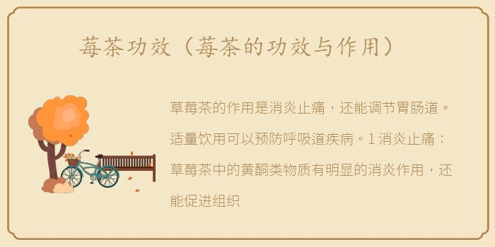 莓茶功效（莓茶的功效与作用）